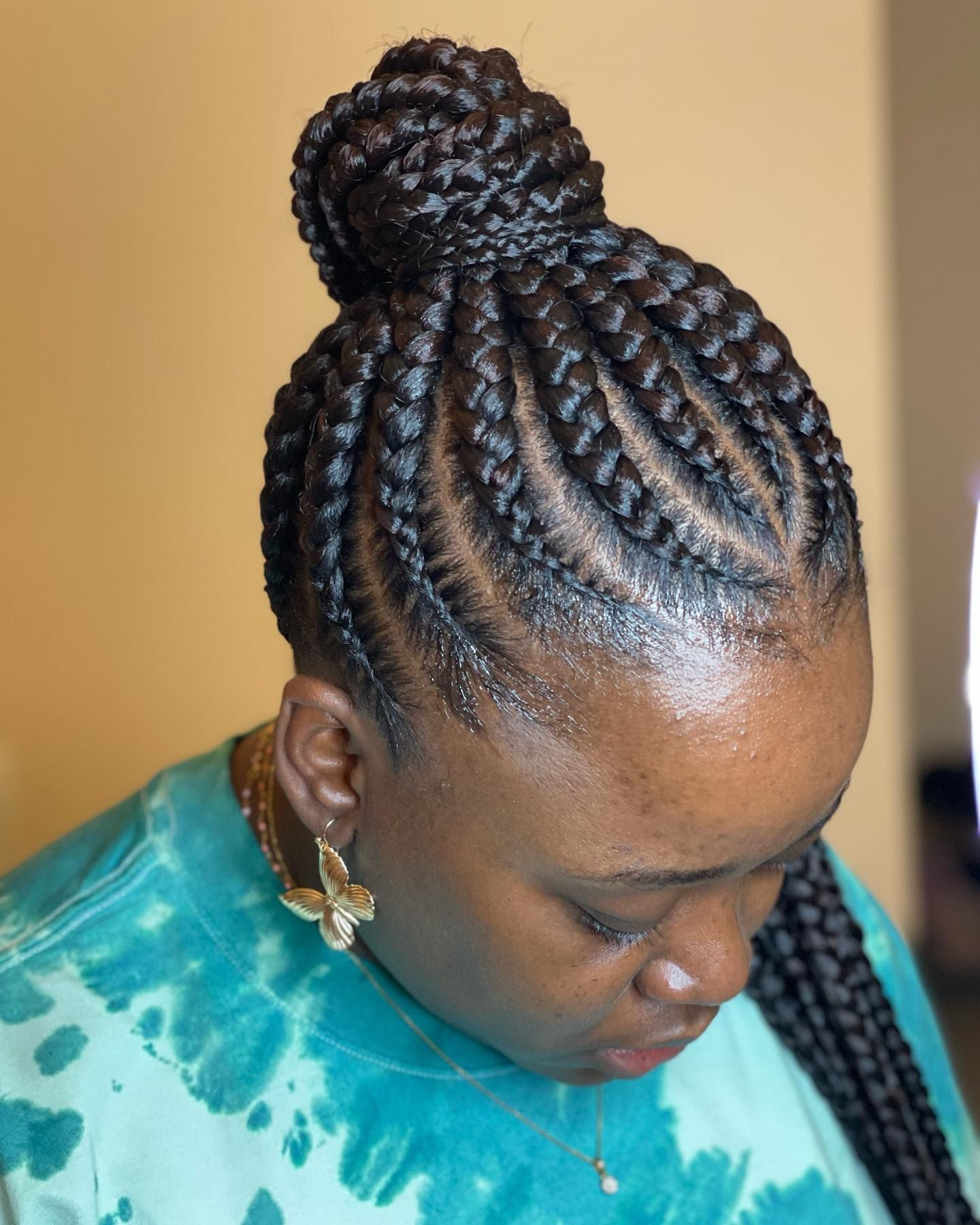 Braided Ponytail